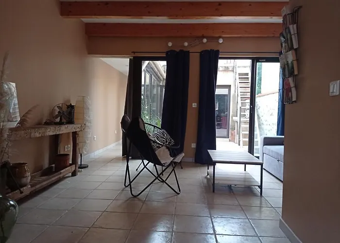 Maison De Charme Avec Patio Et Terrasse De Toit